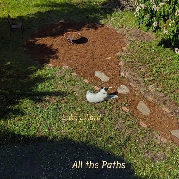 Cover art for All the Paths